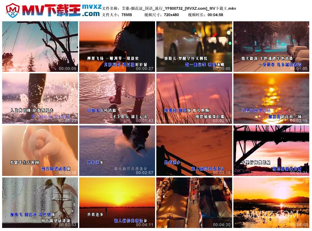 艾歌-烟花凉_国语_流行_YF800732